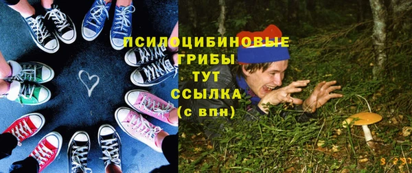 не бодяженный Осташков