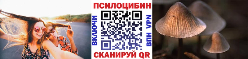 Галлюциногенные грибы Cubensis  Барнаул 